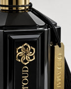 Oud Amal Intense — 35% Extrait de Parfum, 100 ml - M'OUD Switzerland